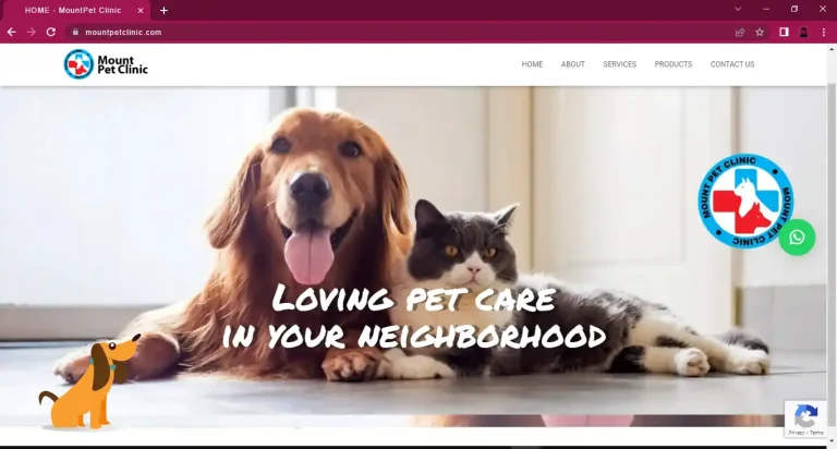 mountpetclinic.com